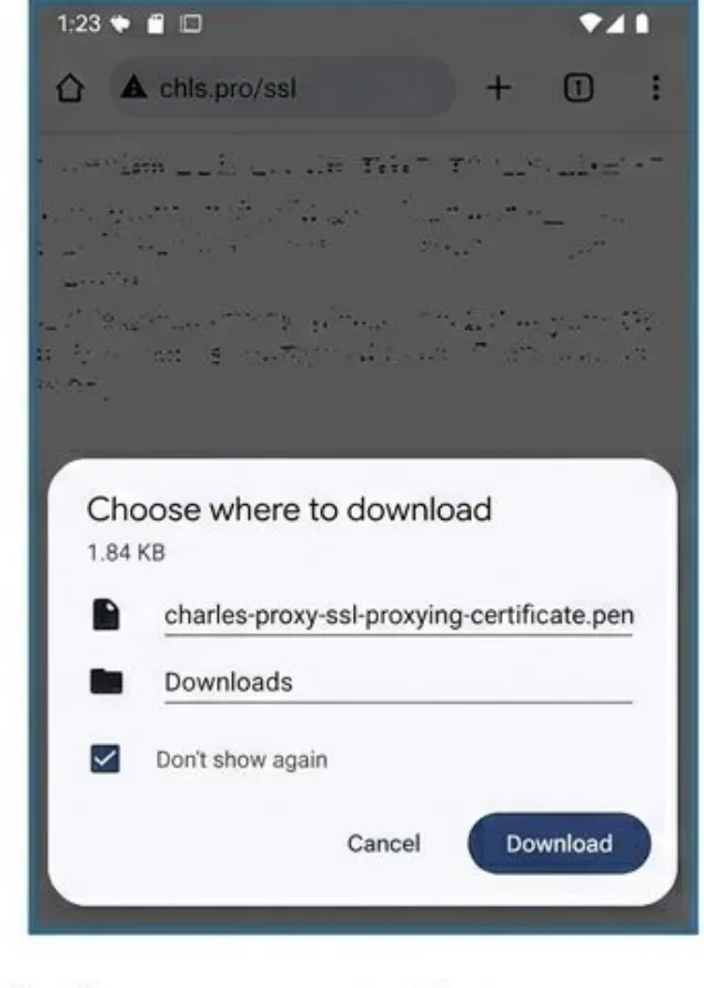 Download Charles CA certificate