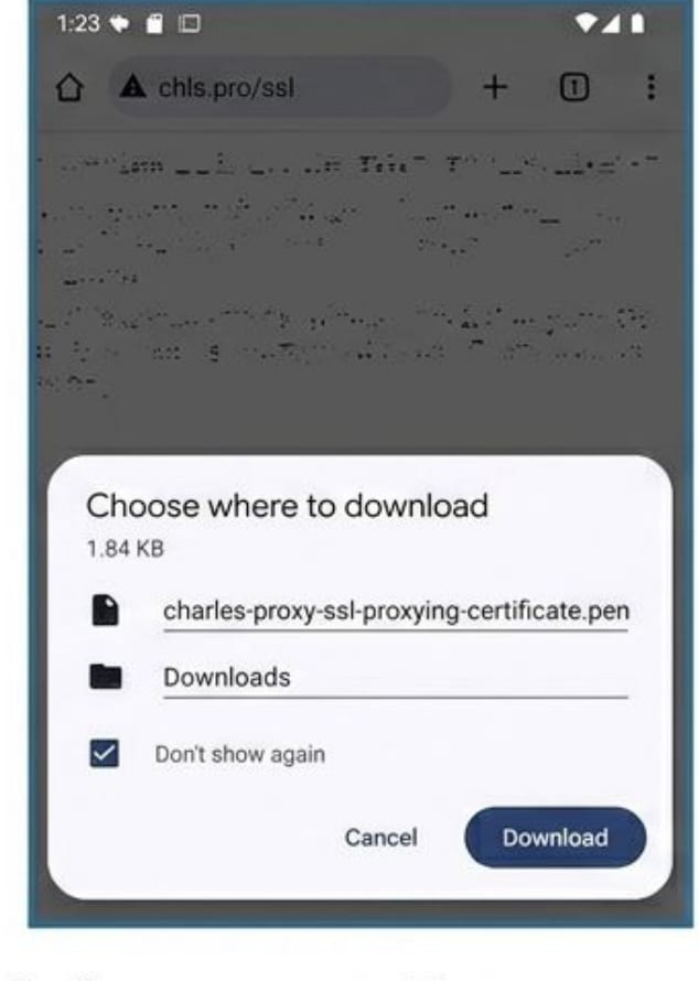 Download Charles CA certificate